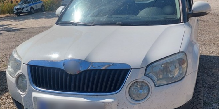 Έβρος: Συνελήφθη διακινητής με 6 παράνομους μετανάστες