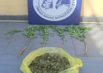ΑΜΘ: Συνελήφθησαν έντεκα άτομα για κατοχή ναρκωτικών