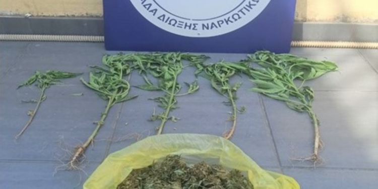 ΑΜΘ: Συνελήφθησαν έντεκα άτομα για κατοχή ναρκωτικών