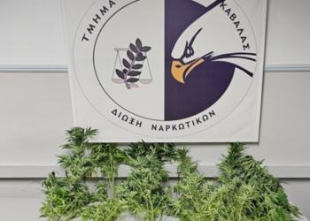 ΑΜΘ: Σύλληψη 11 ατόμων για κατοχή ναρκωτικών