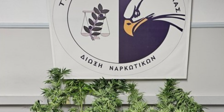 ΑΜΘ: Σύλληψη 11 ατόμων για κατοχή ναρκωτικών