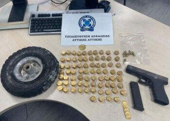 12 άτομα συνελήφθησαν σε ειδική αστυνομική επιχείρηση στη Φυλή