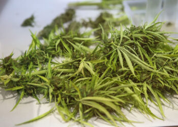 Χανιά: Δύο συλλήψεις για κατοχή και διακίνηση ναρκωτικών