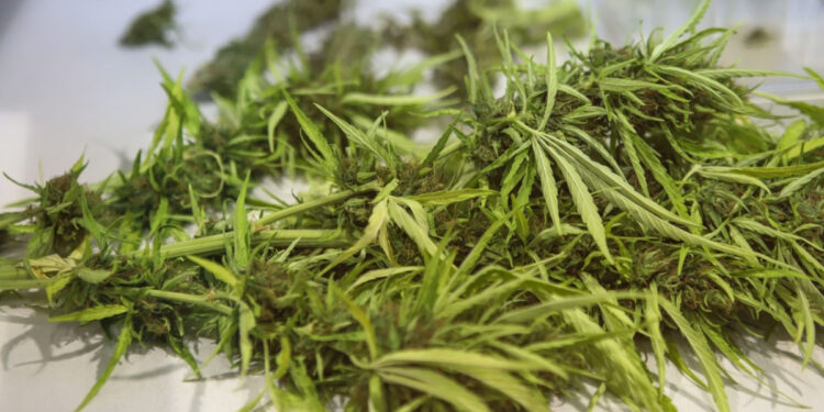 Χανιά: Δύο συλλήψεις για κατοχή και διακίνηση ναρκωτικών