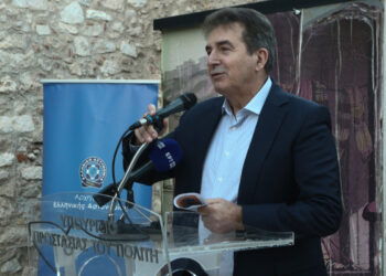 Χρυσοχοΐδης από την Ξάνθη: Κατά 90% αυξήθηκαν οι συλλήψεις τα περιστατικά ενδοοικογενειακής βίας