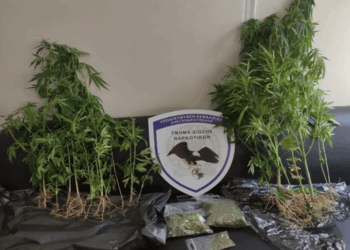 Ανατολική Μακεδονία και Θράκη: Δώδεκα συλλήψεις για κατοχή ναρκωτικών και όπλων