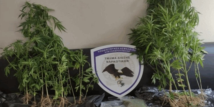 Ανατολική Μακεδονία και Θράκη: Δώδεκα συλλήψεις για κατοχή ναρκωτικών και όπλων