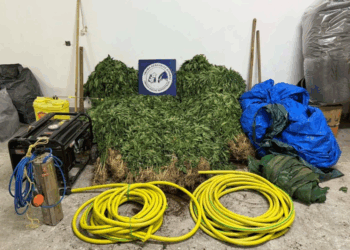 Ανατολική Μακεδονία και Θράκη: Εννέα συλλήψεις για κατοχή ναρκωτικών