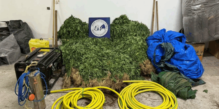 Ανατολική Μακεδονία και Θράκη: Εννέα συλλήψεις για κατοχή ναρκωτικών