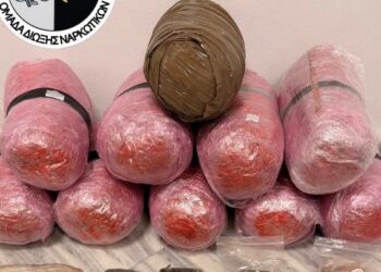 «Ο Vector τα μύρισε»: Σκύλος-αστυνομικός ξεσκέπασε διαμέρισμα-καβάτζα με κιλά ναρκωτικών στη Θεσσαλονίκη