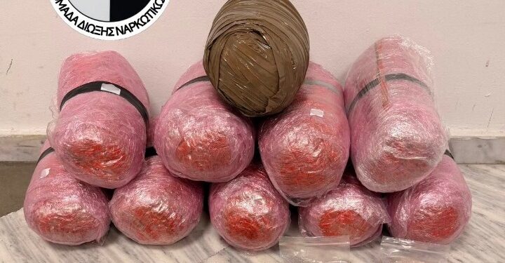 «Ο Vector τα μύρισε»: Σκύλος-αστυνομικός ξεσκέπασε διαμέρισμα-καβάτζα με κιλά ναρκωτικών στη Θεσσαλονίκη