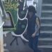 Πάντειο – Λ. Συγγρού: Αυτός είναι ο επιδειξίας που συνελήφθη για επίθεση σε φοιτήτρια