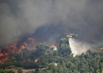 Συνελήφθησαν δύο άνδρες για πυρκαγιά από αμέλεια στο Κρυονέρι Αττικής
