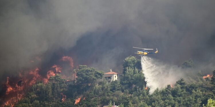 Συνελήφθησαν δύο άνδρες για πυρκαγιά από αμέλεια στο Κρυονέρι Αττικής