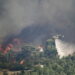 Συνελήφθησαν δύο άνδρες για πυρκαγιά από αμέλεια στο Κρυονέρι Αττικής