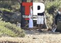 Αποκάλυψη Today Press: Αυτό είναι το όνομα του εφοπλιστή που συνελήφθη στις Σπέτσες – Η πρώτη εικόνα με την αστυνομία