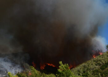 Καβάλα: Συνελήφθη 80χρονος για εμπρησμό από πρόθεση καθώς έβαλε φωτιά σε ξερά χόρτα