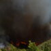 Καβάλα: Συνελήφθη 80χρονος για εμπρησμό από πρόθεση καθώς έβαλε φωτιά σε ξερά χόρτα