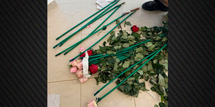 Κοκαΐνη 84 κιλών μέσα σε τριαντάφυλλα: Η επιχείρηση της ΑΑΔΕ σε Αρτέμιδα και Μαραθώνα